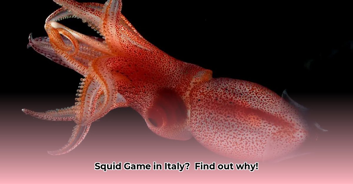 squid-game-streaming-ita